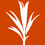 Development Seed
